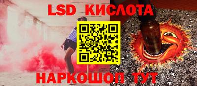 гашик Кулебаки