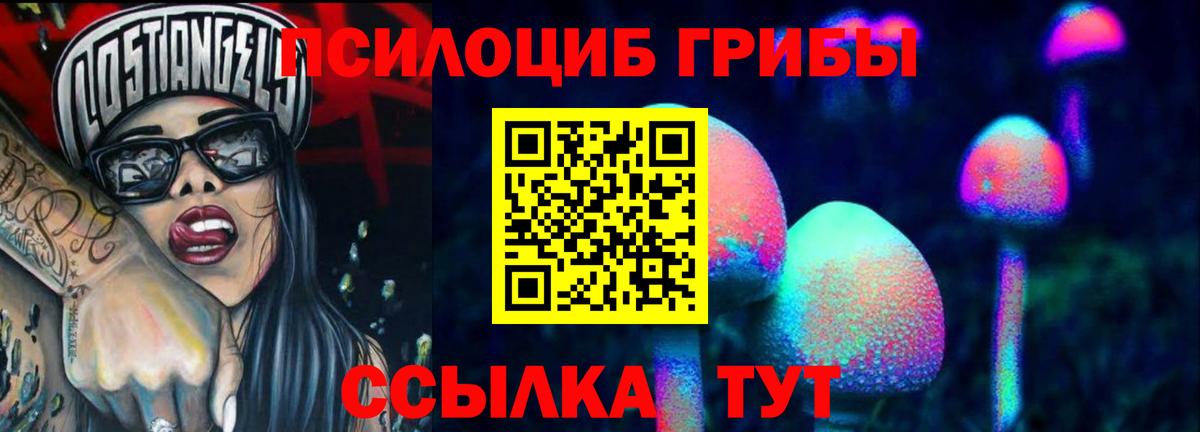 продажа наркотиков  Вход с VPN  Ефремов  Галлюциногенные грибы прущие грибы 